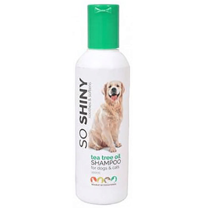 So Shiny Tea Tree Oil Shampoo for Dogs & Cats - Nibasu