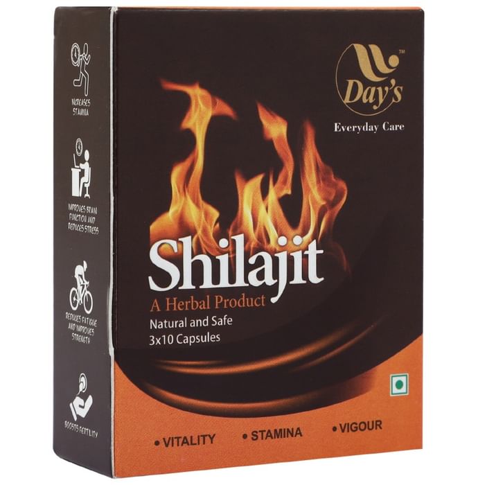 Day's Shilajit Capsule - Nibasu