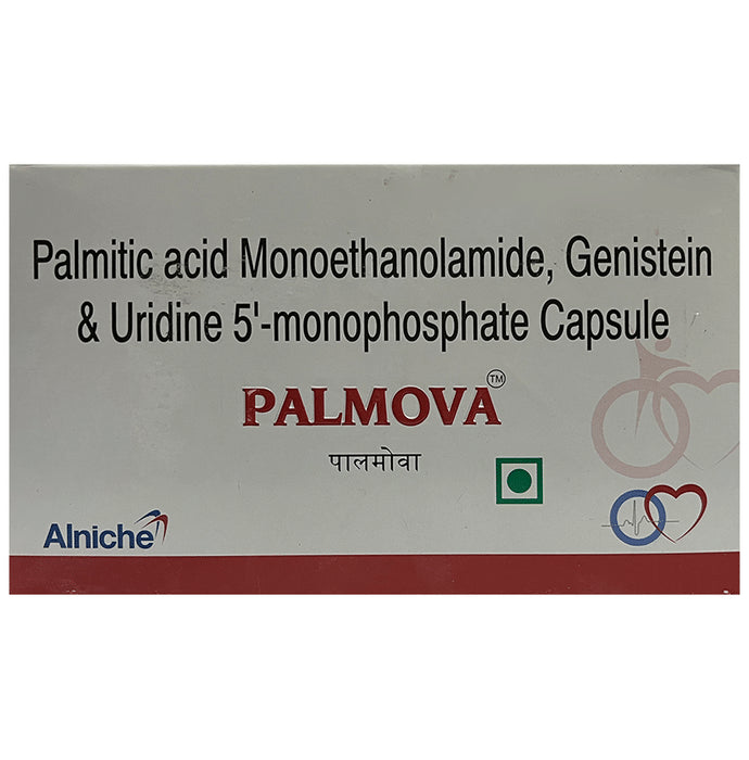 Palmova Capsule - Nibasu