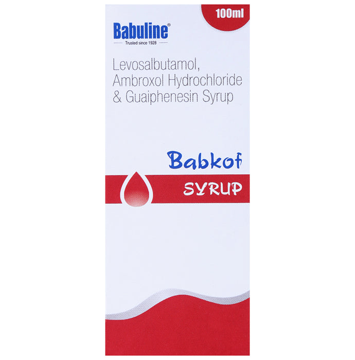 Babkof Syrup - Nibasu